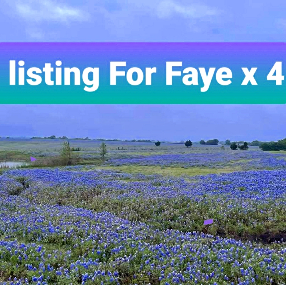 Personal Nail Strip listing for Faye x 4
